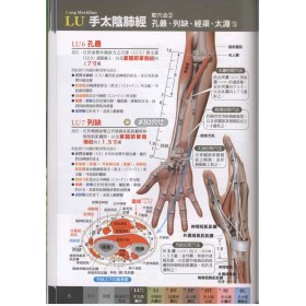 台版经穴大全，超科学3D经穴解剖全书（共348页），电子版，发百度网盘